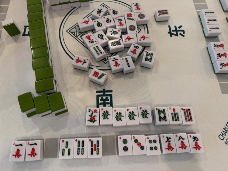 學習國粹！瓦妮莎打起了麻將 這麻將還是外國特供版
